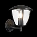 Светильник уличный настенный ST-Luce Черный/Черный, Прозрачный E27 1*40W SL081.401.01 - фото