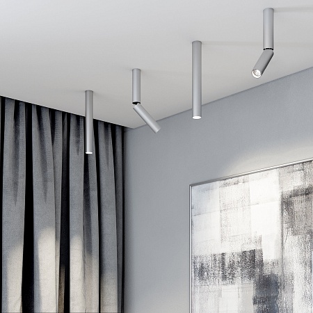 Накладной светодиодный светильник Pika 25029/LED 6W 4200K серебро Elektrostandard - фото