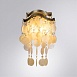 Настенный светильник Arte Lamp PIPIRIMA A4065AP-2SG - фото