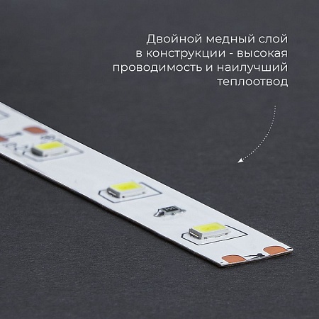 Светодиодная LED лента Feron LS603, 60SMD(2835)/m 4.8W/m 12V 5m синий - фото