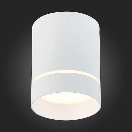 Светильник потолочный Белый LED 1*12W 3000K 840Lm Ra>90 120° IP20 D79xH100 170-240V ST115.532.12 - фото