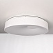 Потолочный Светильник Ecla D57 Imperiumloft 101547-26 - фото