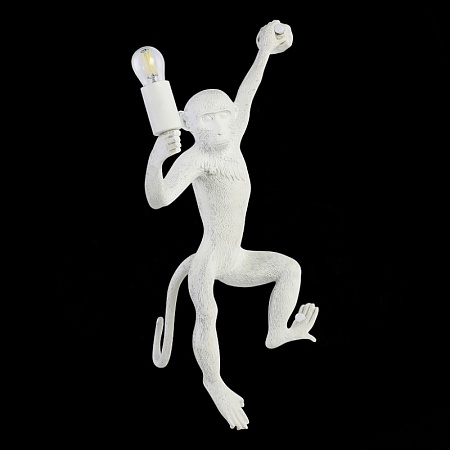 Светильник настенный Белый E27 1*60W SLE115111-01 - фото