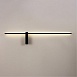 Декоративная подсветка Arte Lamp PHOENIX A2025AP-1BK - фото