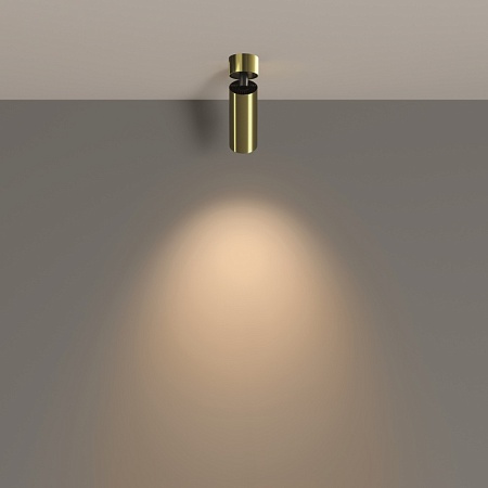 Потолочный светильник Technical FOCUS LED C055CL-L12W3K-W-BS - фото