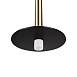10358/830 Disk AB Подвесной светильник LOFT IT Reed - фото