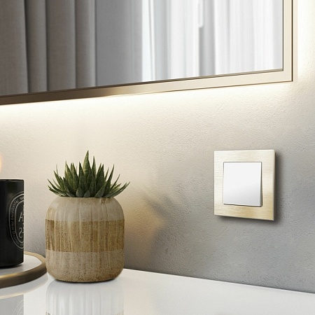 Рамка из металла на 1 пост Аluminium шампань алюминий W0011711 - фото