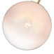 Светильник потолочный ST-Luce Золотистый/Прозрачно-белый E27 1*60W SL1190.212.01 - фото