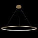 10014XXL Подвесной светильник LOFT IT Ring - фото