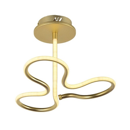 Потолочный светодиодный светильник Arti Lampadari Angelo L 1.2.35.03 G - фото