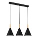 Светильник подвесной Черный/Черный E27 3*40W SLE1255-403-03 - фото