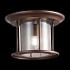 Светильник уличный потолочный ST-Luce Темный кофе/Прозрачный, Темный кофе E27 1*60W SL080.402.01 - фото