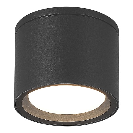 Светильник уличный потолочный ST-Luce серый/белый GX53 1*9W SL9006.702.01 - фото