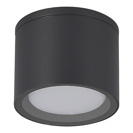 Светильник уличный потолочный ST-Luce серый/белый GX53 1*9W SL9006.702.01 - фото