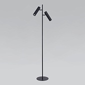 Напольный светильник Eurosvet 01087/2 черный