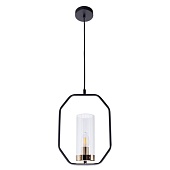 Подвесной светильник Arte Lamp CELAENO A7004SP-1BK