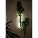 Фасадный светильник Arte Lamp TEJAT A5424AL-1BK - фото