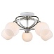 Люстра Lussole FAYETTEVILLE LSP-0166 - фото
