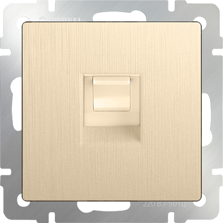 Розетка Ethernet RJ-45 шампань рифленый WL10-RJ-45 - фото