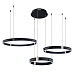 Подвесная люстра Arte Lamp SHINE A2222SP-3BK - фото
