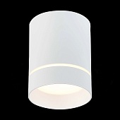 Светильник потолочный Белый LED 1*12W 3000K 840Lm Ra&gt;90 120° IP20 D79xH100 170-240V ST115.532.12