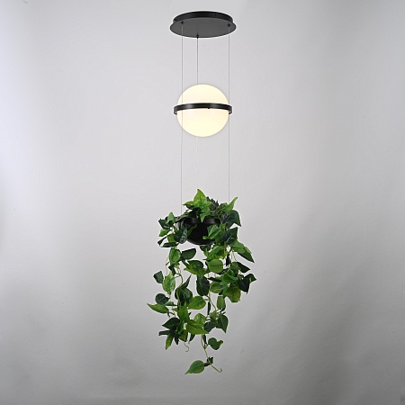 Подвесной Светильник Palma Wall Lamp Шар + Вазон Imperiumloft 168489-22 - фото