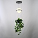 Подвесной Светильник Palma Wall Lamp Шар + Вазон Imperiumloft 168489-22 - фото