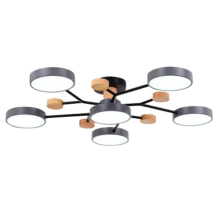 Светильник потолочный Серый/Серый LED 6*12W 3000K/4500K/6000K SLE6006-702-06 - фото