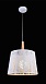 Подвесной светильник Maytoni Lantern MOD029-PL-01-W - фото
