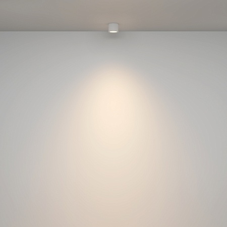 Потолочный светильник Technical Rendo C095CL-GX53-W - фото