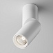 Потолочный светильник Technical Dafne C027CL-L10W4K - фото