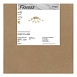 Люстра Freya FR5571CL-09G - фото