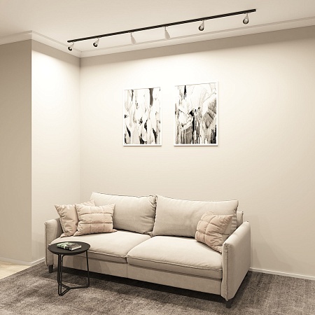 Светильник на шине Denkirs BELL DK6050-BW+BK - фото