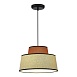 Светильник подвесной ST-Luce Черный/Кирпичный,Бежевый, Черный E27 1*40W SL1354.423.01 - фото