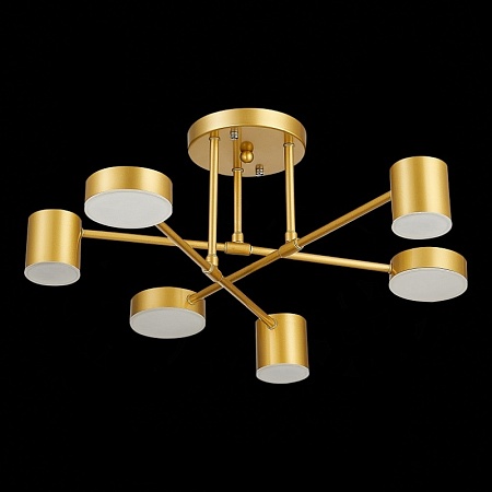 Светильник потолочный Золотистый/Золотистый LED 6*7W 4000K SLE201022-06 - фото