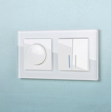 Рамка на 2 поста (белый,стекло) W0021101 - фото