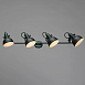 Спот Arte Lamp MARTIN A5215PL-4BG - фото