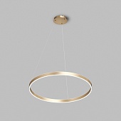 Потолочный подвесной светильник Denkirs DK6272-SG