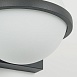 Бра Favourite 4502-1W - фото