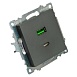 Розетка 2-местная USB + type C (механизм), 250В, 3А, max 20W, серия Катрин, графит, GLS10-7116-06 - фото