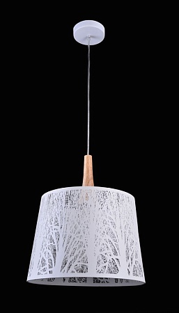 Подвесной светильник Maytoni Lantern MOD029-PL-01-W - фото