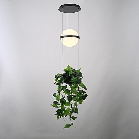 Подвесной Светильник Palma Wall Lamp Шар + Вазон Imperiumloft 168489-22 - фото