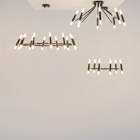 Потолочный светильник Maytoni Vigo MOD620CL-16B - фото