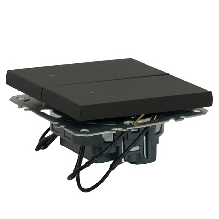 Выключатель 2-клавишный c индикатором (механизм), STEKKER, 250В, 10А, серия Эмили, RSW10-5102-05, черный уголь, soft touch - фото