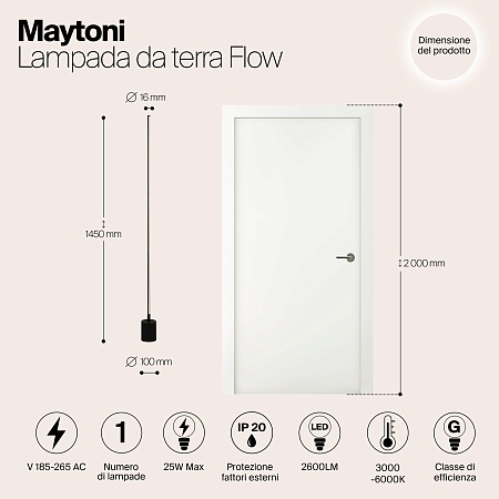 Напольный светильник (торшер) Maytoni MOD147FL-L20BK1 - фото