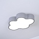 Потолочный Светильник Cloud 50 Серый Imperiumloft 186676-26 - фото