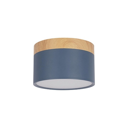 10162 Blue Накладной светильник LOFT IT Grape - фото