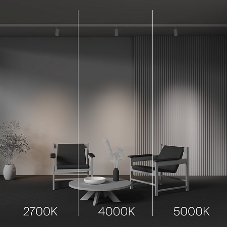 Трековый светильник Technical FOCUS LED TR197-3-12WCCT-M-W - фото