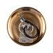 Люстра Freya FR5336PL-03G - фото