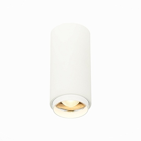 Светильник потолочный Zoom Белый LED 1*10W 3000K 1 000Lm Ra>80 15-60° IP20 D59xH130 170 ST600.532.10 - фото